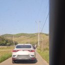 문수사 주차장 | 서산 문수사겹벚꽃 개화 현황/추천시간 충남 서산 여행 코스 솔직후기