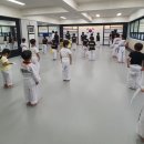 성용 태권도 이미지