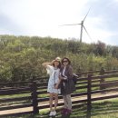 현웅목장 | (1박2일 강릉여행) 대관령 양떼목장 대신 삼양목장 후기!!