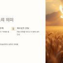 은혜카 이미지
