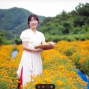 소노벨 청송 주왕산 근처 수제꽃차맛집 뷰카페 청송꽃차이야기 솔채에서 꽃차의 향연으로 치유와 힐링을...