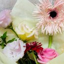 백조미용실 | [분당다이어트한의원 백조한의원 스텝다이어트 후기1][웨딩관리모음][다이어트한약/양약/위고비/지방...