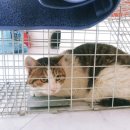 고흥미소동물병원 이미지