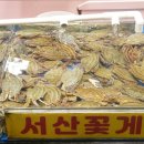 계절수산횟집