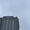 [강남 숙소 추천] 신라스테이 서초 : 디럭스 패밀리 트윈룸 숙박 후기