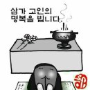 깜장콩 이미지
