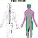 닥터코르셋 이미지