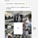 나도 디지털 카메라(DSLR) 사진 작가 이미지