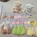 해외직구테디몰