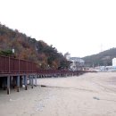 왜목마을관광지 이미지