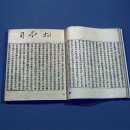 순천-81호 네이버블로그