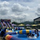 도궁초등학교 이미지