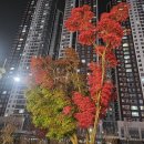 인생포차 이미지