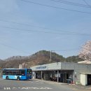 진동시내버스환승센터 | 마산밥집 // 마산진동맛집 //서촌삼계탕