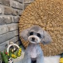 오도독뽀도독 이미지