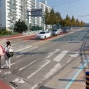 삼보초등학교 앞 뉴시스