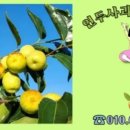 동관농장 이미지