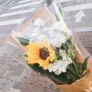 보라카이 작전우림점 | 매일이 즐거운 일상 풀기 ♪