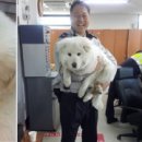 옥구지구대 이미지