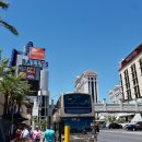 팔레스호텔건너 이미지