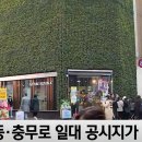 네이처시가 이미지