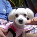 송월타올 앞 이미지