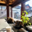 경주한복판