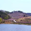 복사꽃향기 이미지