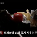 블랙클럽 이미지