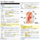 미용사 티스토리