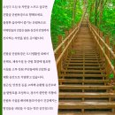 진밭골산림욕장 이미지