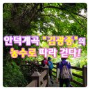 김광종 영세불망비 | 휘어져서 더 아름다운 안덕계곡에 불가능을 넘어선 &#34;김광종&#34;의 농수로 따라 걷다!!