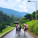 흥부전 조형물 이미지