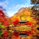 대성농원 이미지