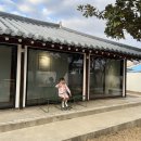 스테이은신희 | 나주 독채펜션 은신희 [내돈내산 방문후기]