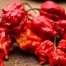 용식목장 이미지