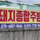 돼지종합주방