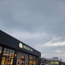 도기도기 | 경산 애견카페 도기온 내돈내산 후기｜운동장 규모가 진짜 미쳤다🐶