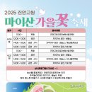 9월 2주차 진안군 주간 소식 알림 이미지