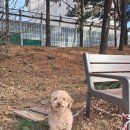 하북4리마을회관 이미지