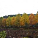 힘들 때 보면 행복해지는 글 이미지