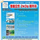 드림항공여행사 이미지