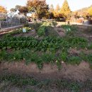 대화농업체험공원 이미지