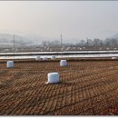 양동회관 이미지