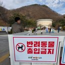 월드 | 문경 아기랑 에코월드 후기 1탄 (입장료, 모노레일, 드라마세트장, 꼬마열차, 거미열차)