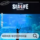 주식회사 유니 | 부산아쿠아리움 당일 이용 할인 티켓 여행특공대 티켓 씨라이프부산아쿠아리움 다녀온 후기