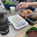 고바우민박