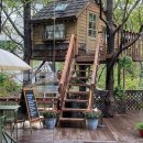 더가드너 이미지