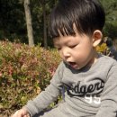 예슬어린이집 이미지