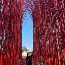 영월 Y파크(술샘박물관) | 영월 여행 가볼만한 곳 젊은달와이파크 인생샷 포토존 추천 (술샘박물관, 카페 달)